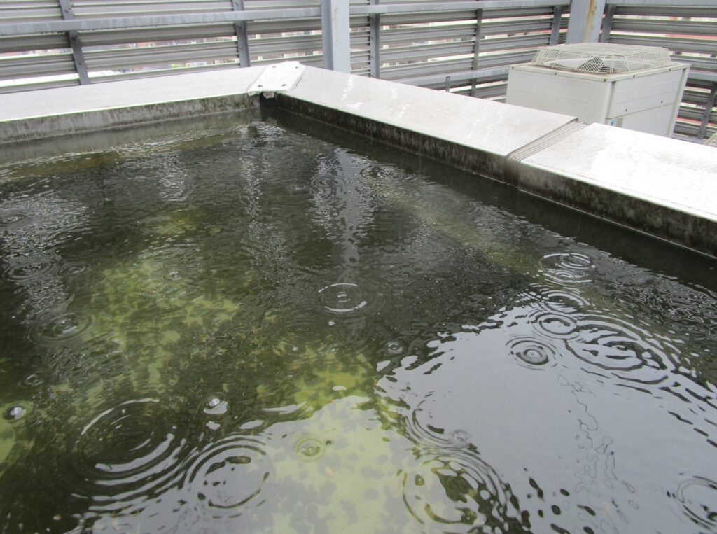 平塚市の防水工事ガイド|雨漏り対策と失敗しない業者選びのポイント